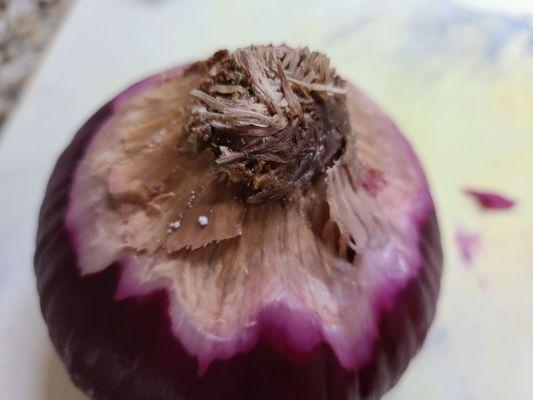 Moldy onion!