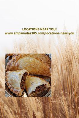 Empanadas 305