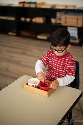 Montessori in Austin