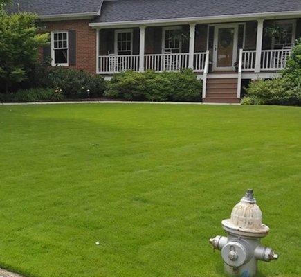 Lawn seeding: Maximum results can be improved when over seeding is combined with a top dressing service.