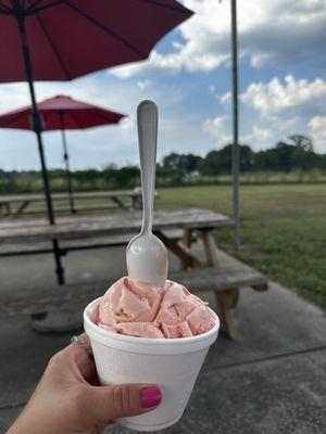 Nash Family Creamery