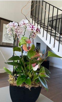 Orchids & Pink Anthurium