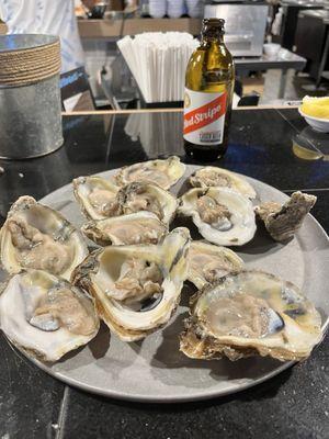 Fresh Oysters*