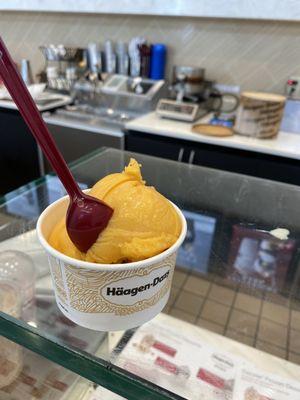 Mango Sorbet