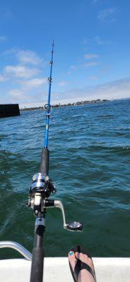 Rented a fishing boat and poles from Seaforth! Had an excellent time!!!