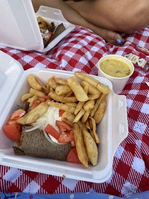 Gyro Platter - Ground Lamb with fries and Chicken Noodle soup