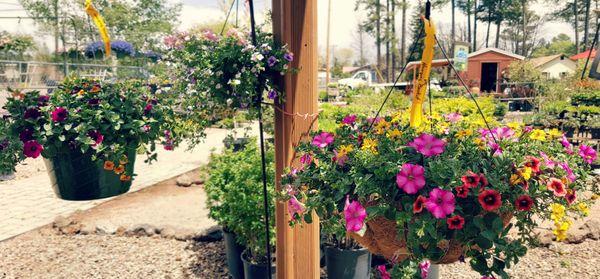 In Bloom carries supplies for everyone from casual gardeners to landscaping professionals.