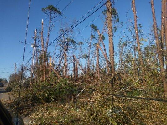 Fla. Hurricane work