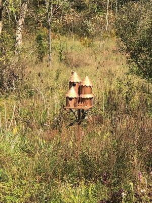 Birdhouses in the view