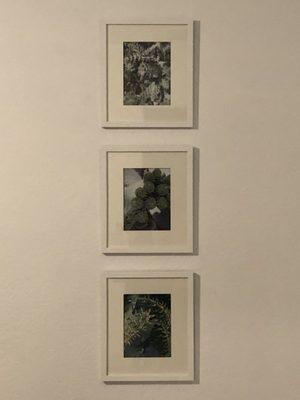 The three professionally framed/matted photos!  Thank you so much for your craft.