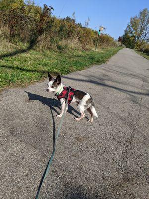 Elliott, taking a walk at the park.