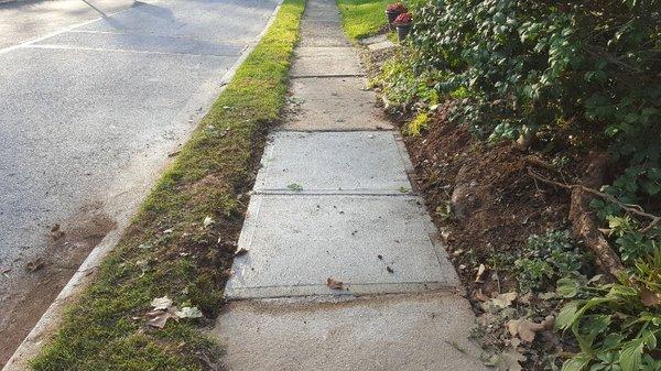 small concrete walkway. 
i do drives, steps , etc.