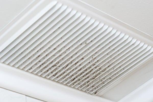 Ductwork. In a typical house, 20% of conditioned air is lost due to leaky or poorly connected ducts. Call for solutions.