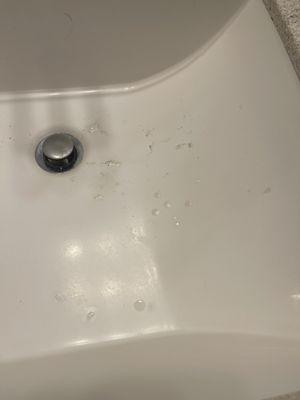 Feces splattered from plumber