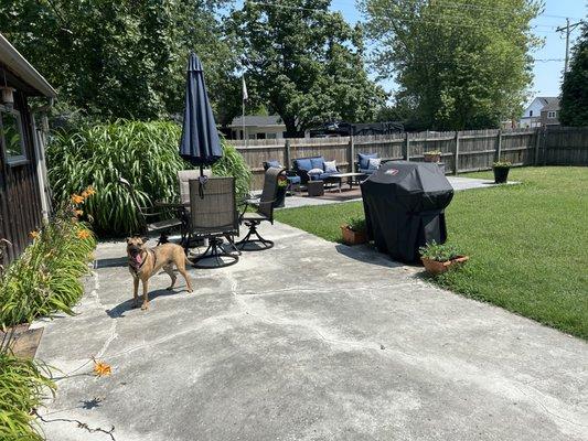 The private backyard at the cottage