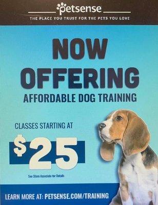 Dog Training