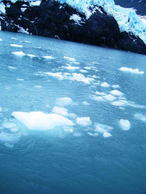 Ice chunks in the water