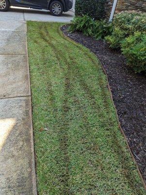 Turned my lawn into a go kart track after being asked to use a push mower multiple times over the last 6 months.