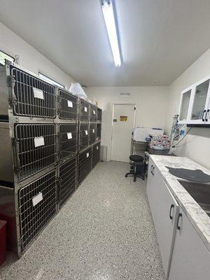 Angelus Pet Hospital