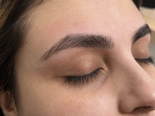 Freshly done brows