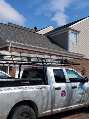 Doing a little roof work to keep bats out.