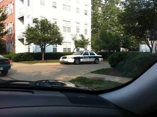 Empty patrol cars sitting throughout the property