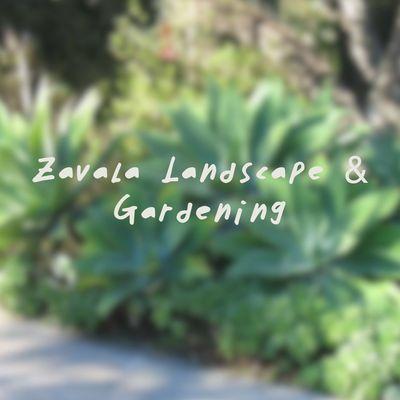 Zavala Landscape & Gardening