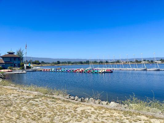 Paddle boats for rent