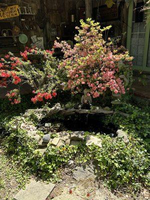 Fountain in front yard