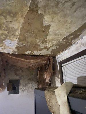 Water Damage that has caused mold damage.