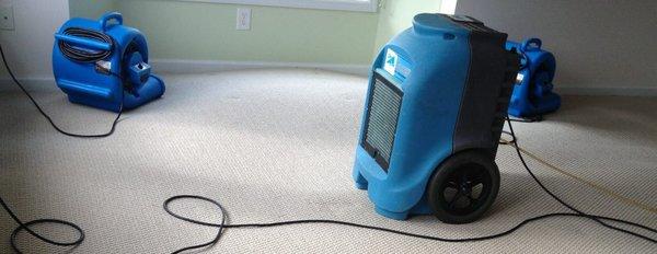 A professional will stop by in within 2 hours to install dehumidifers and fans.