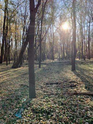 Kurtz Loop Trail