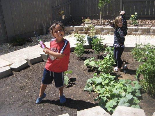 Community Garden