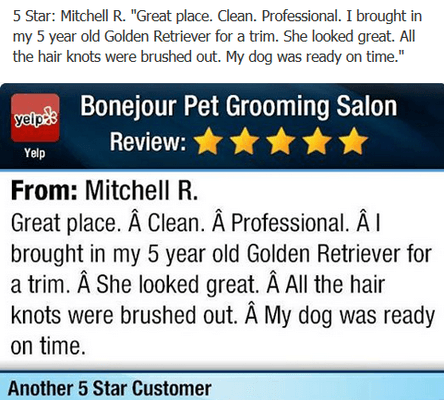 Mitchell R. posted his review on Yelp.  Another happy customer.