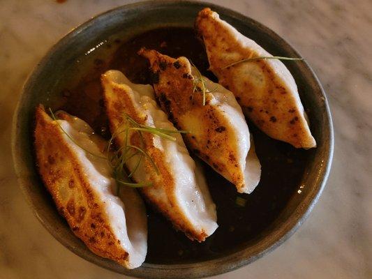 Pan-Fried Chicken Dumplings