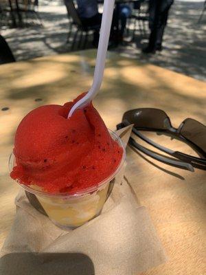 Cactus fruit and mango sorbet