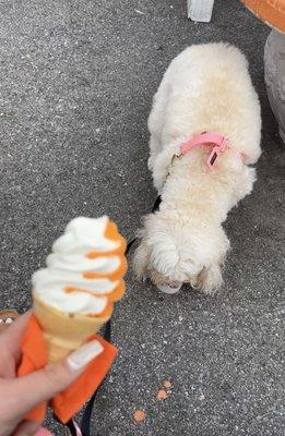 Vanilla orange swirl soft, serve cone, and a doggy vanilla pop cup