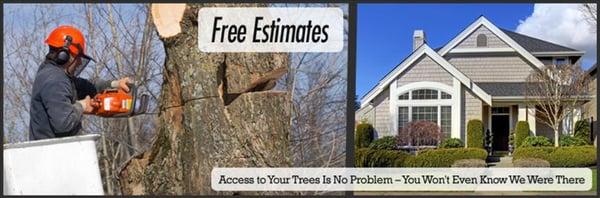 MC Professional Tree Service