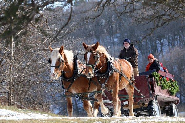 Winter on the Farm event, Heritage Farm.