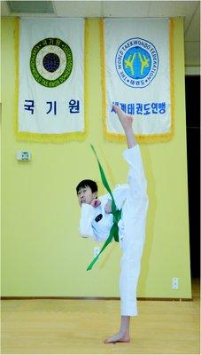 WT - World TaeKwonDo Federation