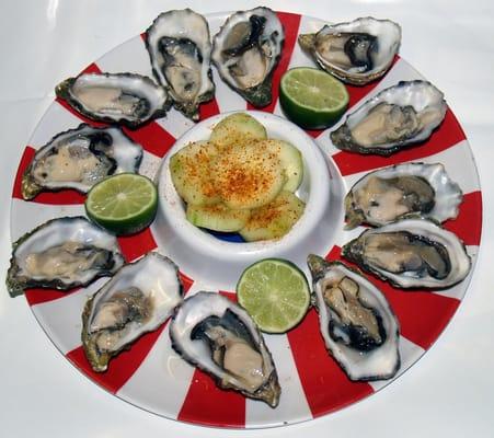 Oysters