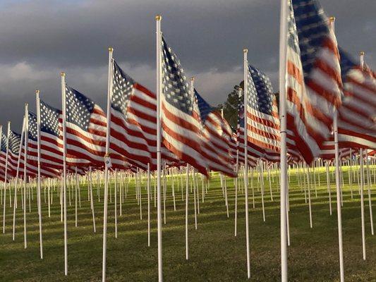 Honoring our Veterans, thank you for making America such a beautiful and powerful country, hopefully it becomes a GREAT COUNTRY