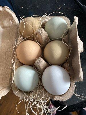 Farm fresh eggs! Thank you!