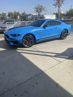 2023 Ford Mustang Mach 1. Special Edition. Nano Carbon Ceramic Film installation. Super happy customer. hurrah