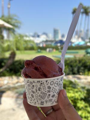 Blood Peach Hibiscus and Strawberry Gelato (small)