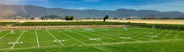 Sports field in the vineyard, just minutes from I-5 Coburg Exit.