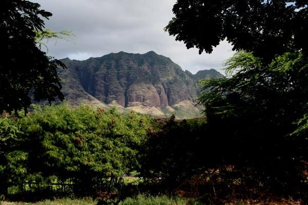 Mauka from the farm