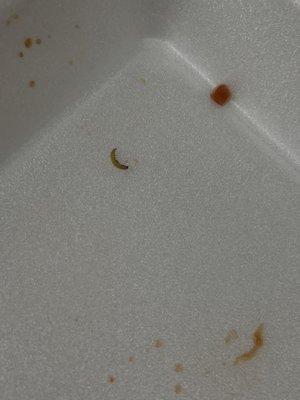 Worm found in my sesame chicken