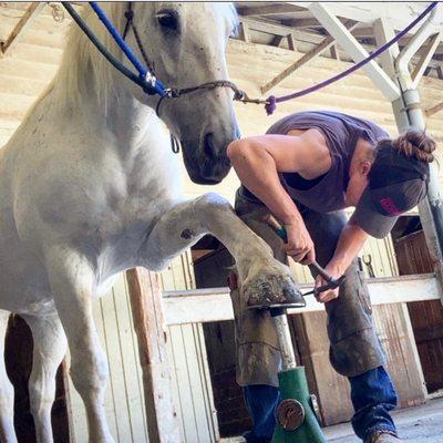 Manicure from Sam the Farrier