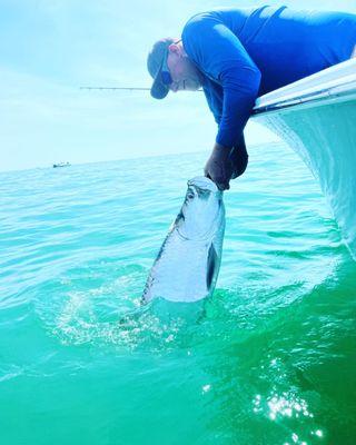 Boca Grande Tarpon